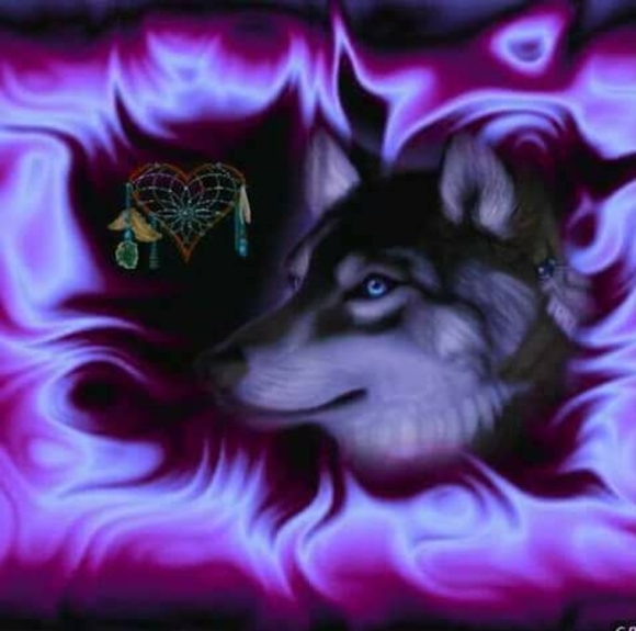 craftylady56